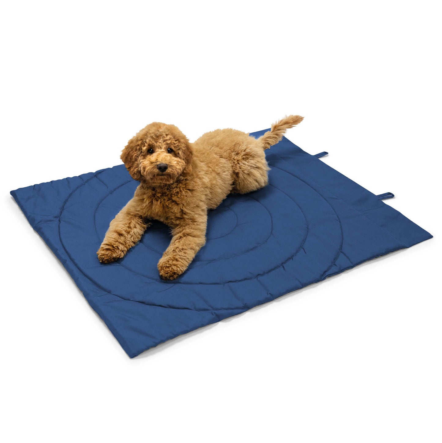 Portable Dog Mat - Blue