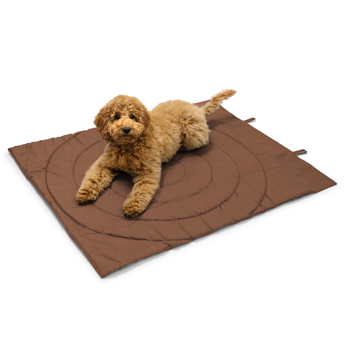 Portable Dog Mat - Brown