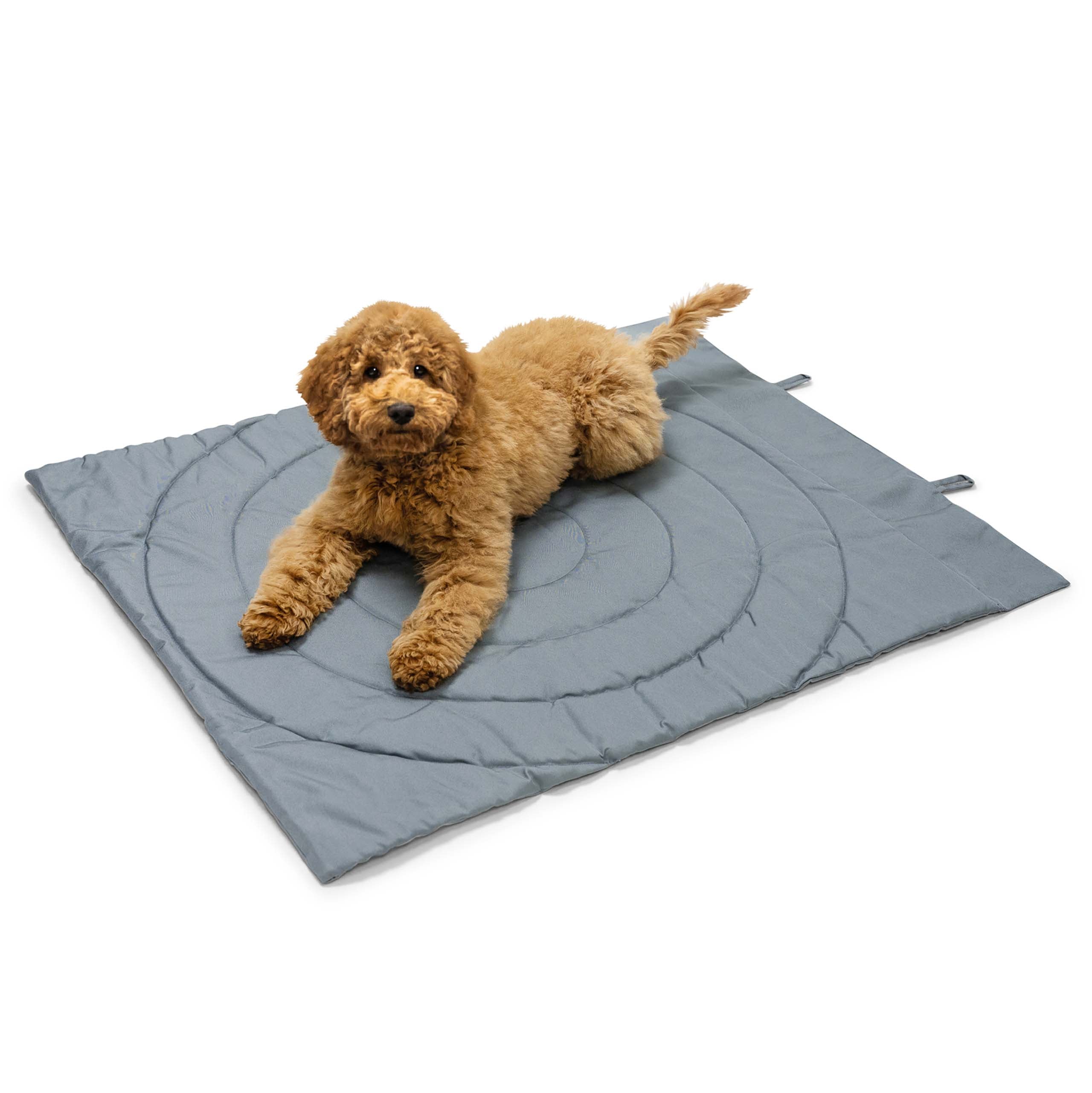 Portable Dog Mat Grey