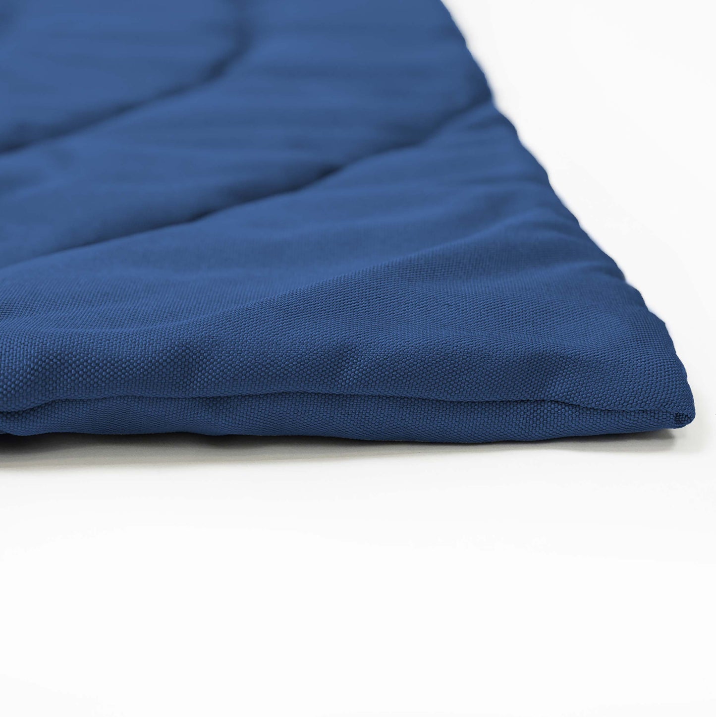 Portable Dog Mat - Blue