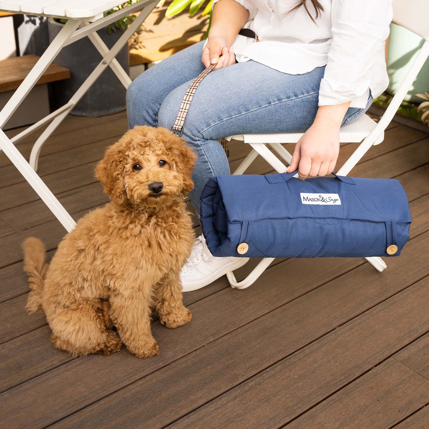 Portable Dog Mat - Blue